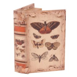 Box Butterflies 15 cm