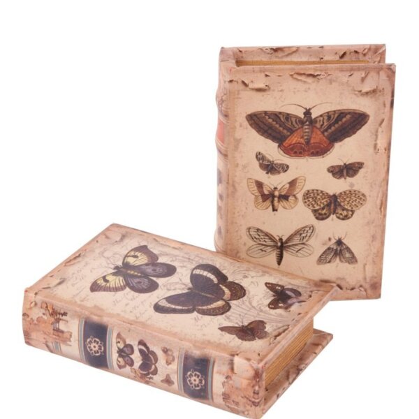 Box Butterflies 15 cm