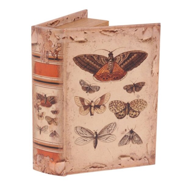 Box Butterflies 20 cm