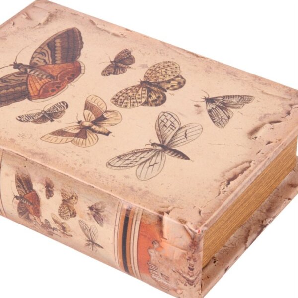 Box Butterflies 20 cm