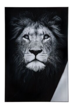 Obraz akryl "Lion Black " Elizabeth Home