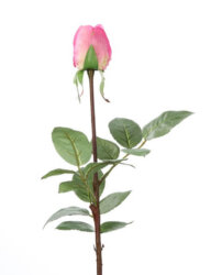 Kwiaty sztuczne Róża różowa Fink Living